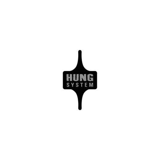 HUNG SYSTEM