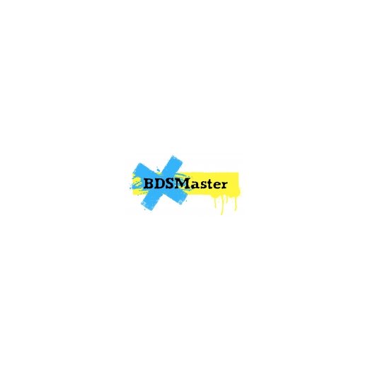 BDSMASTER