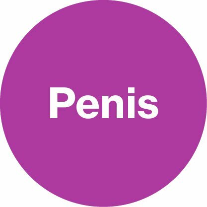 Violetter Kreis mit Penis-Beschriftung
