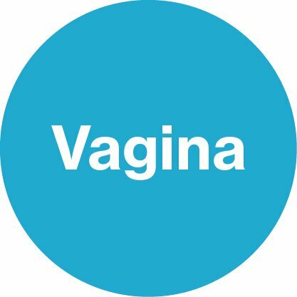 Blauer Kreis mit Vagina-Beschriftung