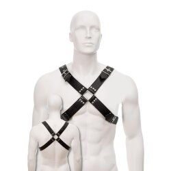 TR Mens Buckle Harness Large