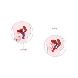 SVAKOM Primo Anal-Plug mit Vibration, Wärmefunktion & Fernbedienung Schwarz