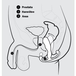 ANEROS Helix Trident Prostata Massager aus ABS Kunststoff Weiss