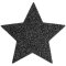 BIJOUX INDISCRETS Flash Nippelschmuck mit Glitzersteinen in Sternenform schwarz