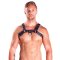 MR.B Harness Schwarz/Schwarz