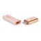 LE WAND Deux Klitoris &amp; Brustwarzen Mini Vibrator Rose/Gold