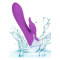 CALEXOTICS Valley Vamp G-Punkt Vibrator mit Klitoris-Stimulator