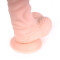 KIOTOS Cox 033 Dildo 22,0 cm Beige