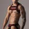 LOCKER GEAR Grab Him Harness Schwarz / Rot