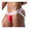 TOF French Jockstrap Rot