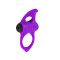 ADRIEN LASTIC Lingus Max Penisring mit Vibration Lila