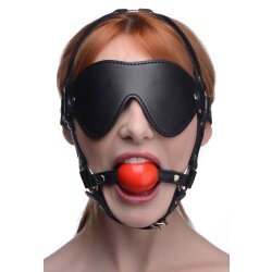 STRICT Blindfold Harness + Ball Gag