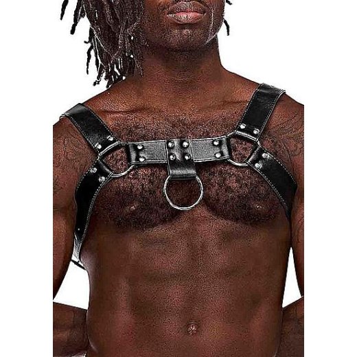 MALE POWER FETISH Aries PU-Leder Harness One Size Schwarz
