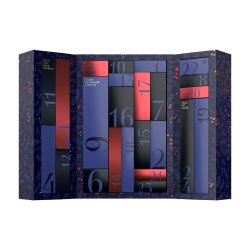 SATISFYER Erotischer Adventskalender Premium 2024