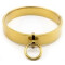 TR Classic Collar Edelstahl Gold