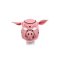 KIOTOS Pink Pig Neopren Hood