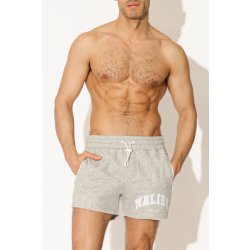 J.J.MALIBU Sophomore Malibu Short Shorts Grau