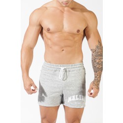 J.J.MALIBU Sophomore Malibu Short Shorts Grau