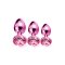 NIXIE Anal-Plug-Set 3-teilig aus Aluminium Pink