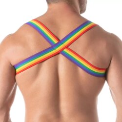 TOF Raibow Shoulder Harness Multicolor