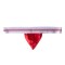 TOF French Stringless Thong Grau