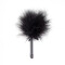 SECRET PLAY Mini Feather Tickler Schwarz