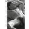 KALENDER Pin Up Real Cocks 2026 A4