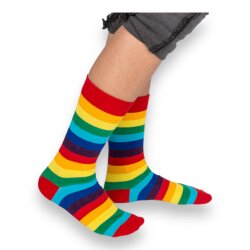 KINKY PLEASURE Rainbow Pride Socks One Size