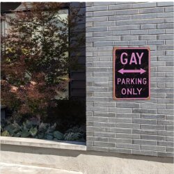 KINKY PLEASURE Gay Parking Only Schild