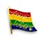 KINKY PLEASURE Pride Pin Flag Love is Love