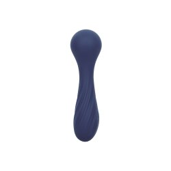 CALEXOTICS Charisma Temptation Bodywand Blau