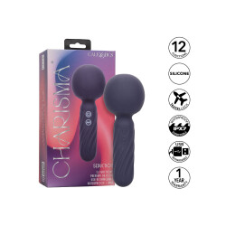 CALEXOTICS Charisma Seduction Bodywand Blau