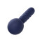 CALEXOTICS Charisma Seduction Bodywand Blau