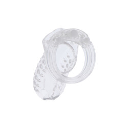 HIDDEN DESIRE Extreme Chastity Cock Cage Acrylic Transparent