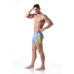 LEADER Hero Shorts Grau