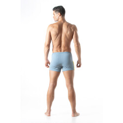 LEADER Hero Shorts Grau