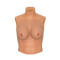 HIDDEN DESIRE Alter Ego Wearable Breasts Shirt Cup E Skin