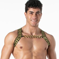 LEADER Invictus Harness Schwarz/Gold