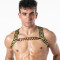 LEADER Invictus Harness Schwarz/Gold