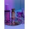 EYE OF LOVE Bloom Pheromon Raumspray Attract Him Lilac Dream 150ml