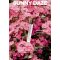 EYE OF LOVE Bloom Pheromon Perfume Attract Him Sunny Daze 10ml