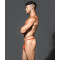 ANDREW CHRISTIAN Almost Naked &quot;SEX&quot; Bamboo Thong Orange