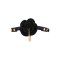 TABOOM Dona Rose Ball Knebel mit Plug Schwarz