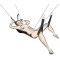 YOU 2 TOYS Sex Swing Liebesschaukel