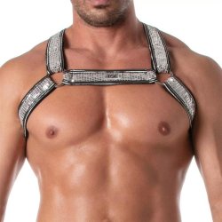 TOF Glitter Bulldog Harness Silber/Weiss