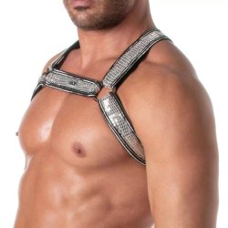 TOF Glitter Bulldog Harness Silber/Weiss