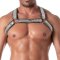 TOF Glitter Bulldog Harness Silber/Weiss