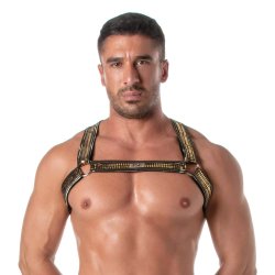 TOF Glitter Bulldog Harness Gold/Schwarz