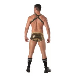 TOF Glitter Bulldog Harness Gold/Schwarz