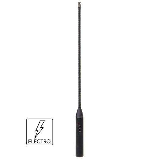 HIDDEN DESIRE Extreme Electro Cane